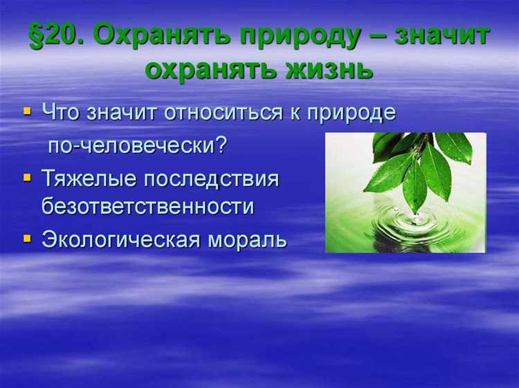 Как сортировать бытовые отходы дома без специальных контейнеров