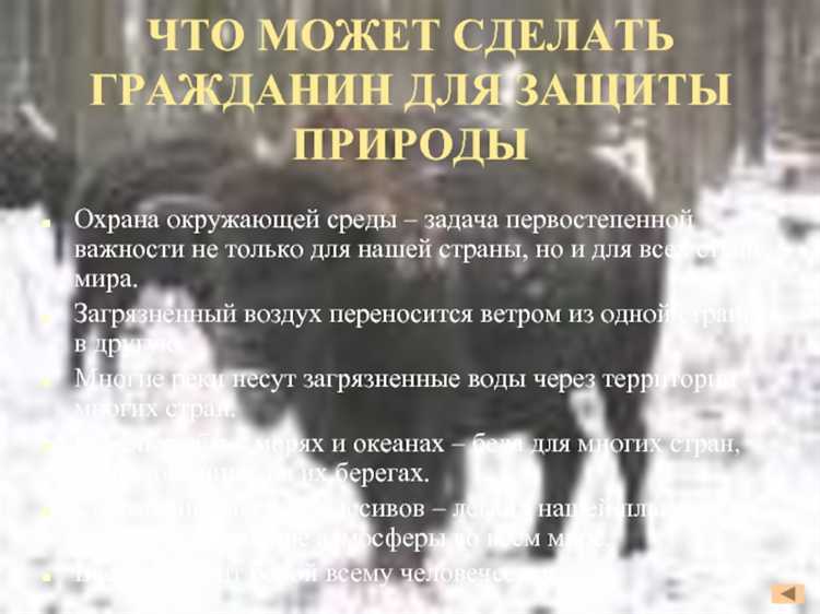 Что можно сделать при обнаружении незаконной вырубки леса
