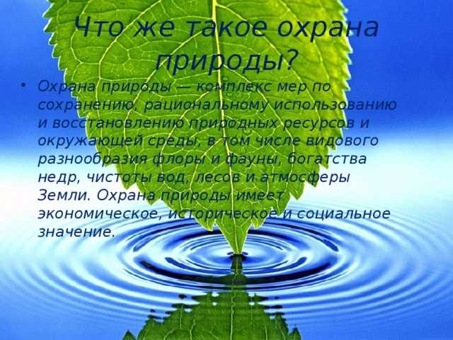 Какие цифровые платформы помогают контролировать загрязнение окружающей среды