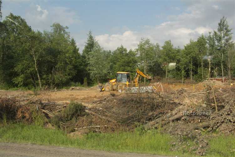 Влияние экологических норм на строительство в лесах