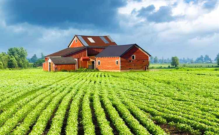 Строительство жилого дома на участке для ЛПХ