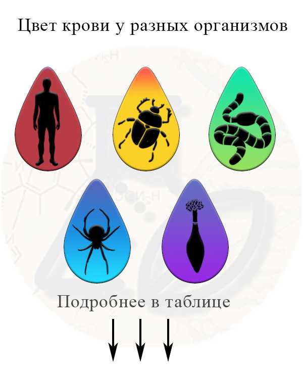 Что не должно быть нанесено на подножке монтерского когтя лаза