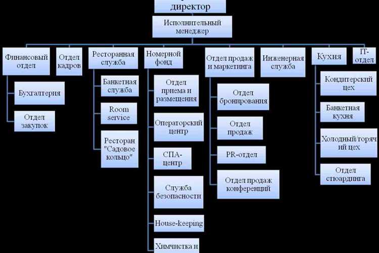 Что не является основной целью аудита Что не является основной целью аудита