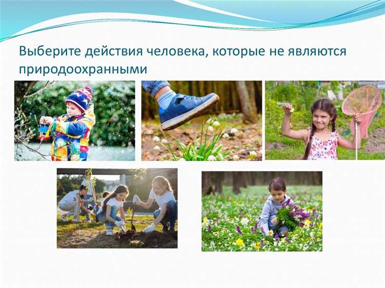 Как вырубка деревьев под 