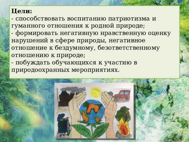 Чем отличается имитация экодеятельности от настоящих природоохранных инициатив