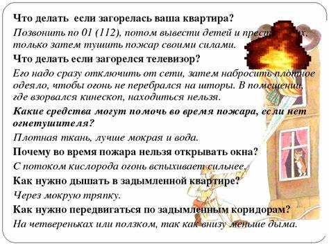 Сбор дикорастущих растений и грибов: что запрещено