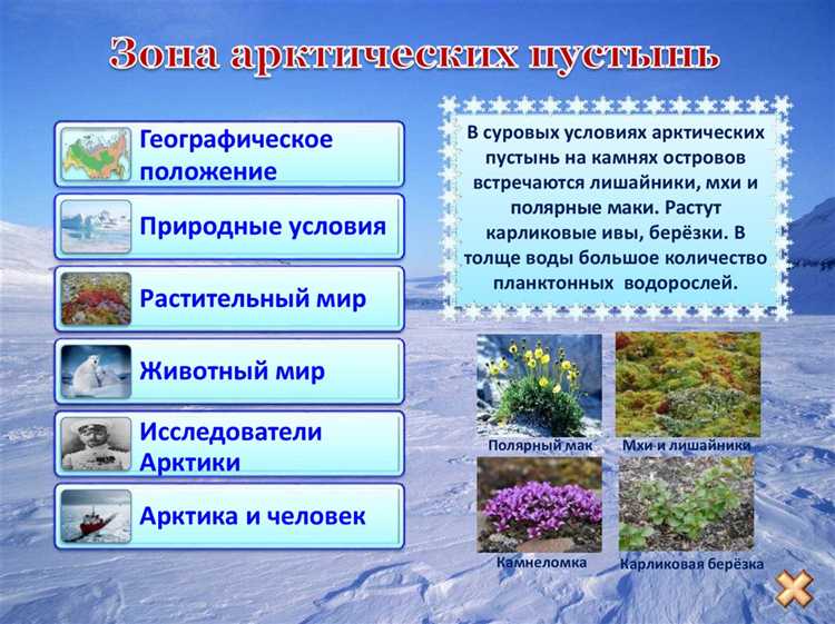 Природные ресурсы арктической зоны и условия их освоения