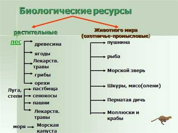 Документальное оформление поступления и выбытия биоресурсов