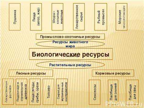 Что относится к биологическим ресурсам Что относится к биологическим ресурсам
