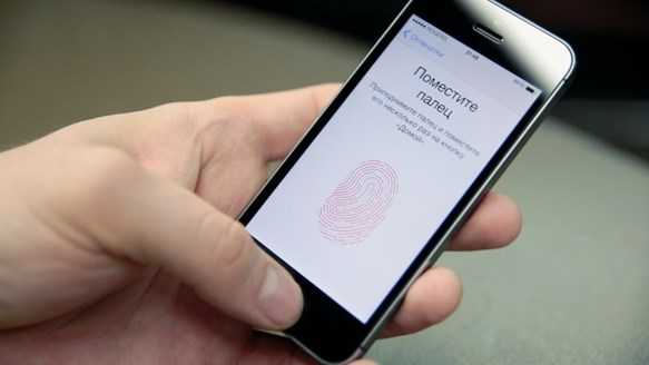 Какие физические характеристики относятся к биометрическим данным