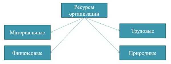 Роль сырья и материалов в формировании материальных ресурсов