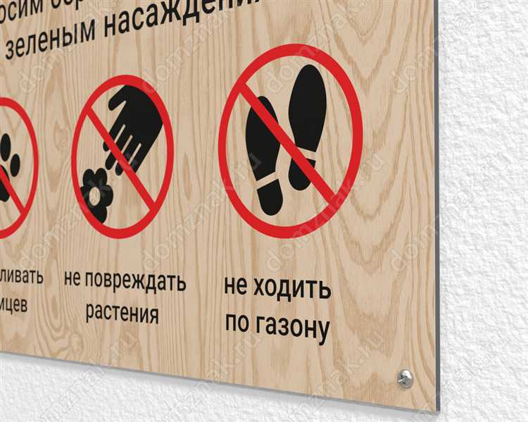 Какие растения включаются в городские зеленые насаждения