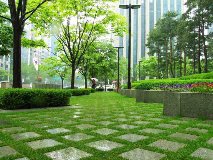 Что относится к зеленым насаждениям