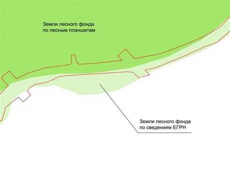 Правила перевода земель из других категорий в земли лесного фонда