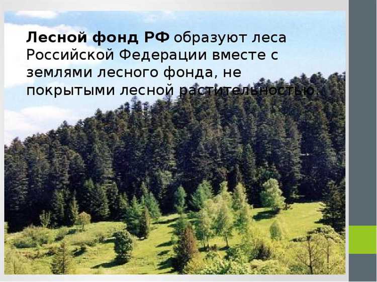 Как классифицируются земли лесного фонда, не пригодные для лесовосстановления