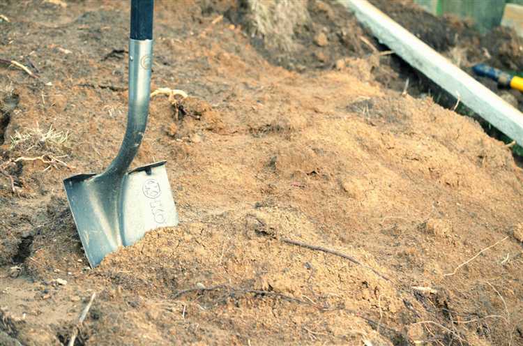 Подготовка строительной площадки и расчистка территории