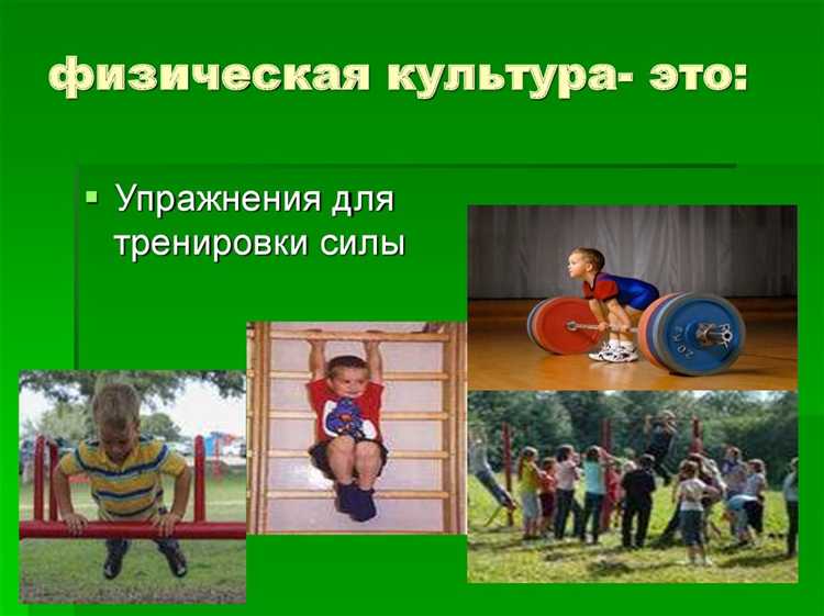 Какие компоненты включает в себя физическая культура