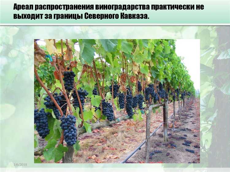 Формы хозяйственной деятельности и виды производства