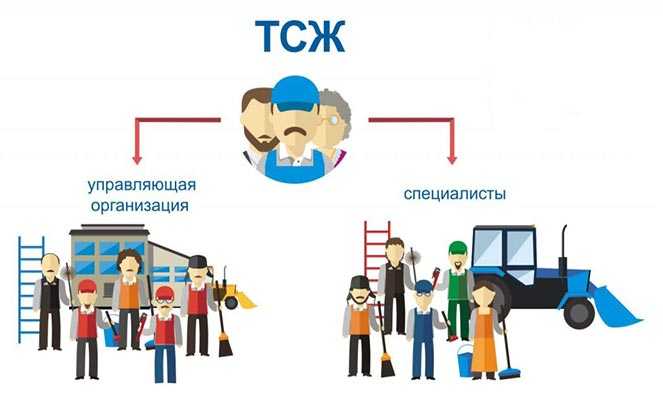 Какие права участников ТСЖ не могут быть ограничены уставом