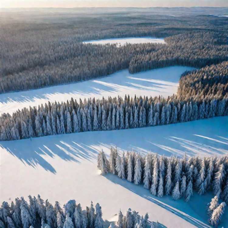 Что включает в себя территория рф Что включает в себя территория рф