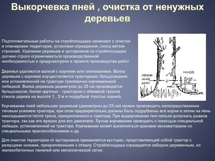Очистка площадки от мусора, растительности и старых построек