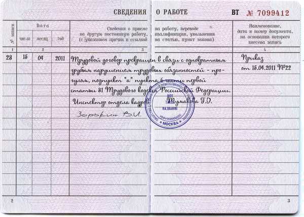 Что за статья 81 трудового кодекса