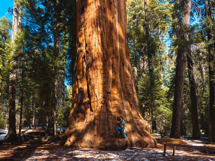 Ограничения на разведение костров и кемпинг
