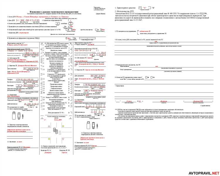 Дата предоставления документов страхователю какую дату ставить Дата предоставления документов страхователю какую дату ставить