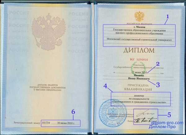 Где смотреть дату выдачи в электронном дипломе