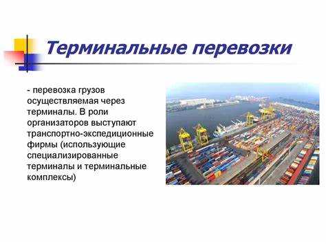 Регулирование и лицензирование вспомогательной деятельности в транспортной сфере