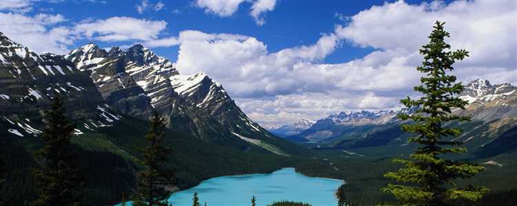 Влияние вспомогательных услуг на сроки и качество доставки грузов