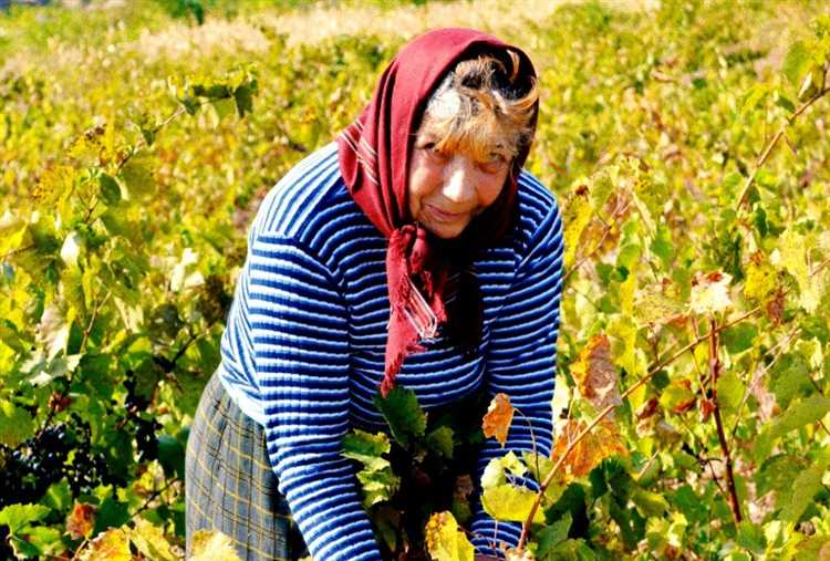 Для чего нужен реестр садоводов в снт Для чего нужен реестр садоводов в снт