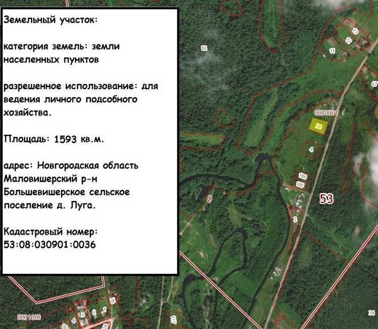 Наиболее частые ошибки при оформлении иного использования