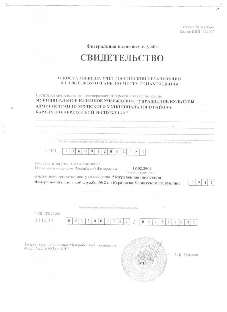 Документы в составе сведений об организации что это