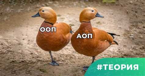 Алгоритм принятия документа для АОП в 2025 году