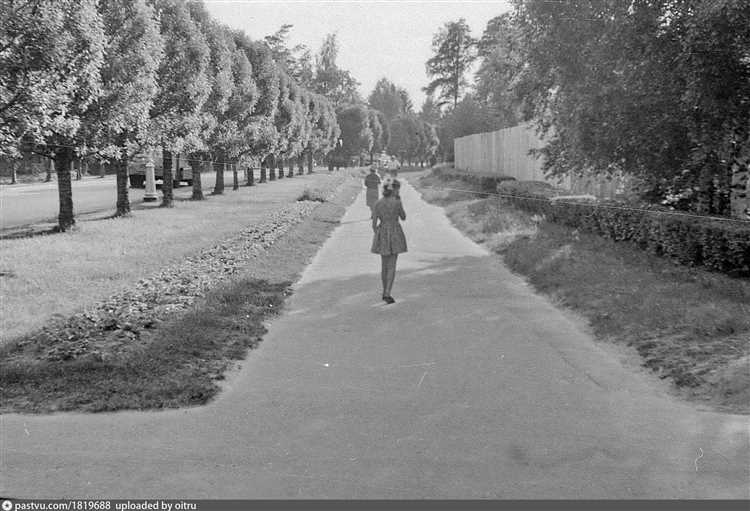 Меры предосторожности при использовании Ензас пр 2700