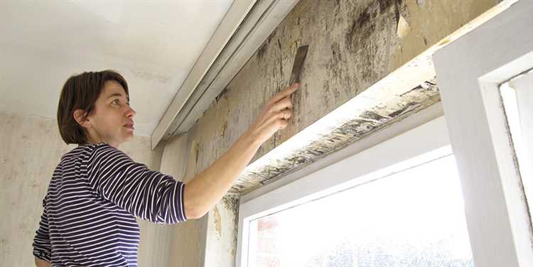 Как доказать вину квартирантов в затоплении