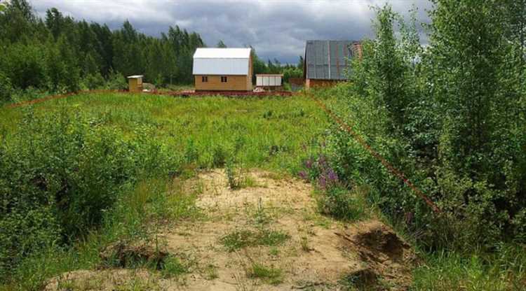 Риски и правовые нюансы при переходе земли после ликвидации СНТ