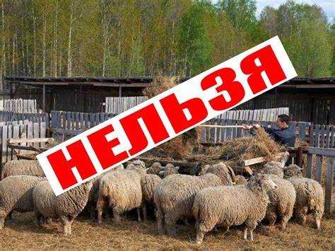 Как влияет отсутствие приватизации на возможность продажи