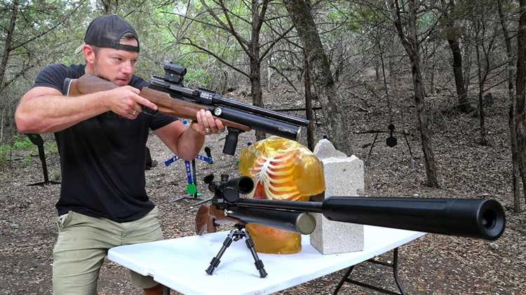 Где можно стрелять из воздушки по закону Где можно стрелять из воздушки по закону