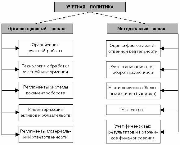 Где размещают учетную политику государственные организации