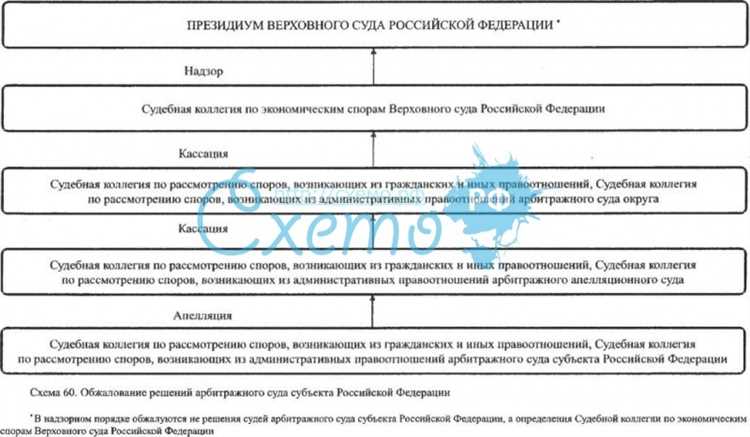 Подача надзорной жалобы в Верховный Суд РФ: порядок и основания