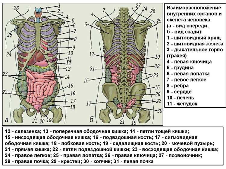 Применение графов для планирования профилактических мероприятий