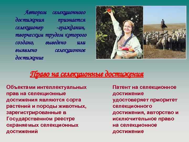 Влияет ли форма записи исполнения на признание авторства