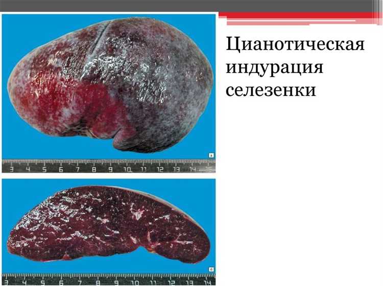 Какие материалы относятся к группе В1