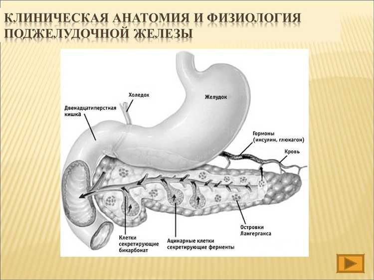Хронический панкреатит какая категория годности Хронический панкреатит какая категория годности