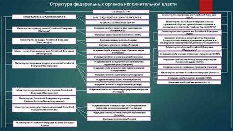 Организационная структура и управление в федеральном агентстве