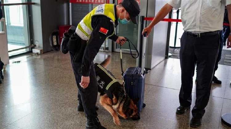 Какие действия руководителя могут быть расценены как соучастие