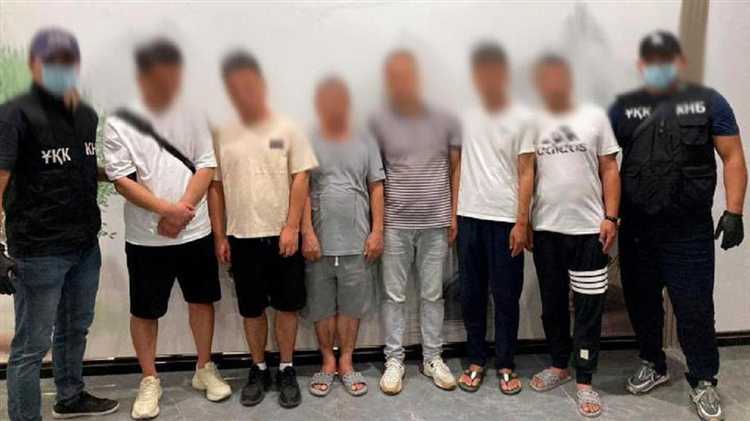 Фирма занялась криминалом что делать Фирма занялась криминалом что делать