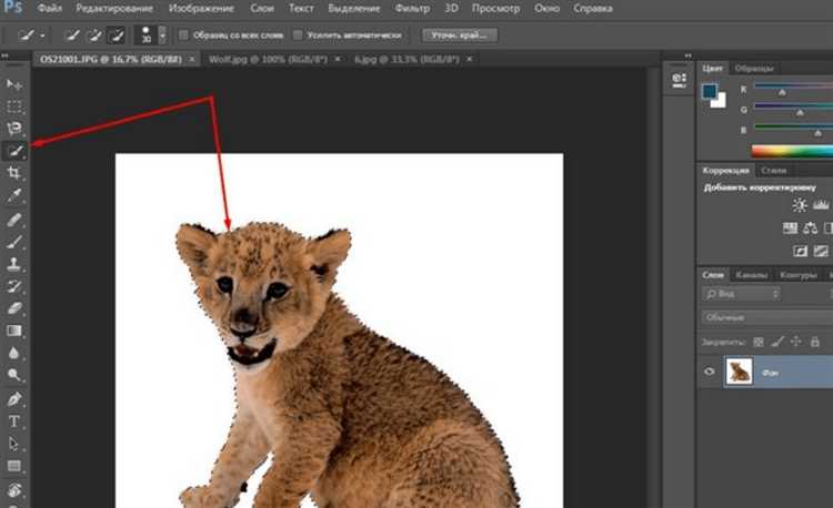 Ответственность за нарушение смежных прав на фонограммы